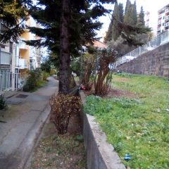 crveni krst banjalučka3